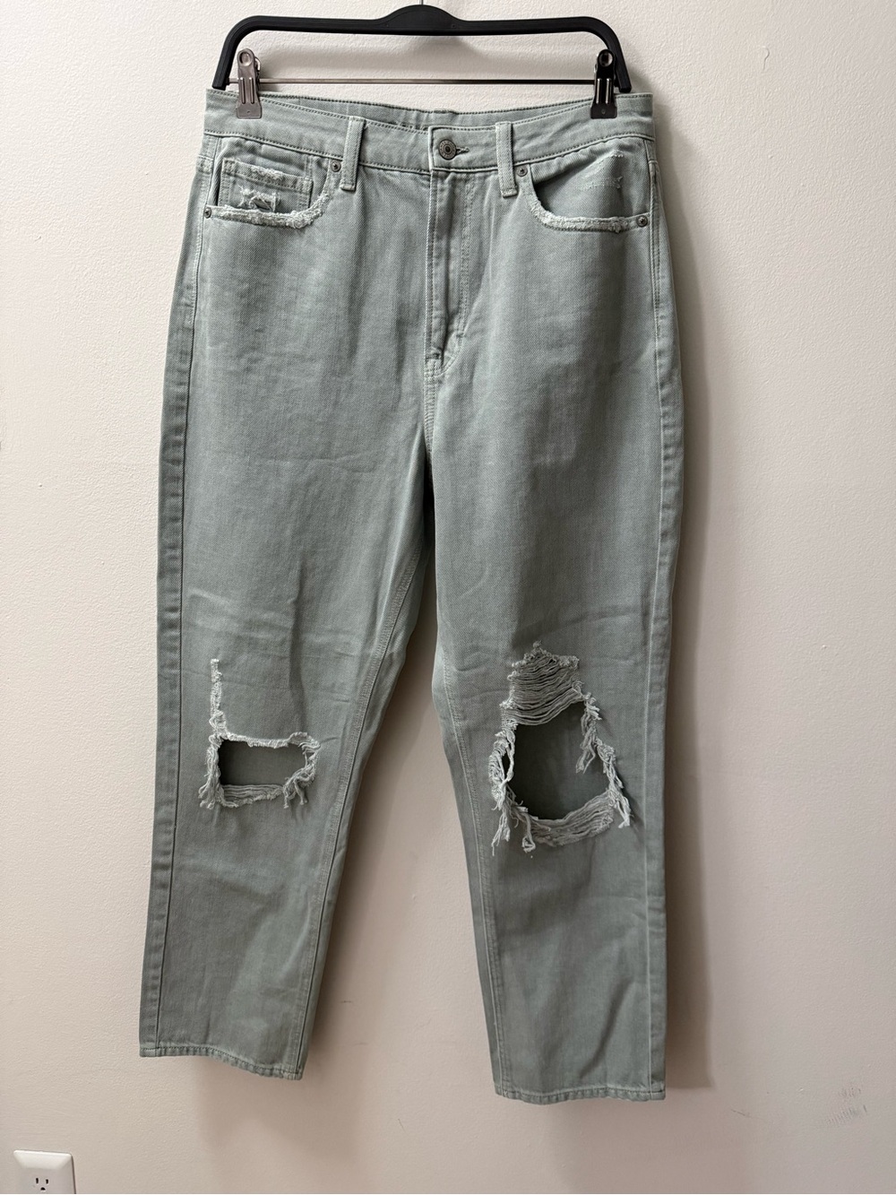 American Eagle Outfitters Distressed Jeans in Light Sage Size 12R